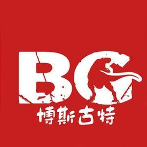 博斯古特科教玩具 開啟智慧與創(chuàng)造力的奇妙之旅